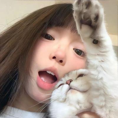 狮子王们的夏天